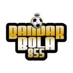 bandarbola855