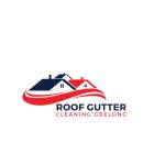 Roof Gutter Cleaning Geelong