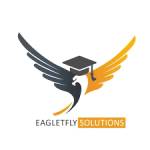 eagletflysolutions