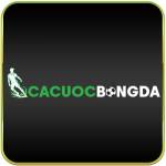 cacuocbongda uscom