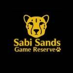 Sabi Sands Lodges