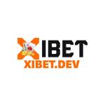 xibet dev