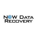 DataRecoveryServices
