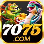 7075 Página oficial do site