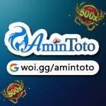 amintoto slot