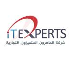 IT Experts