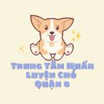 Trung Tâm Huấn Luyện Chó Quận 8