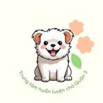 Trung Tâm Huấn Luyện Chó Quận 3