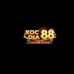 Xocdia88 Cổng game xóc đĩa online uy tín