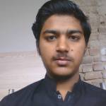 haseeb ali