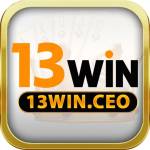 13Win Ceo