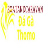 Đá Gà Trực Tiếp Thomo