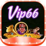 vip66 diy