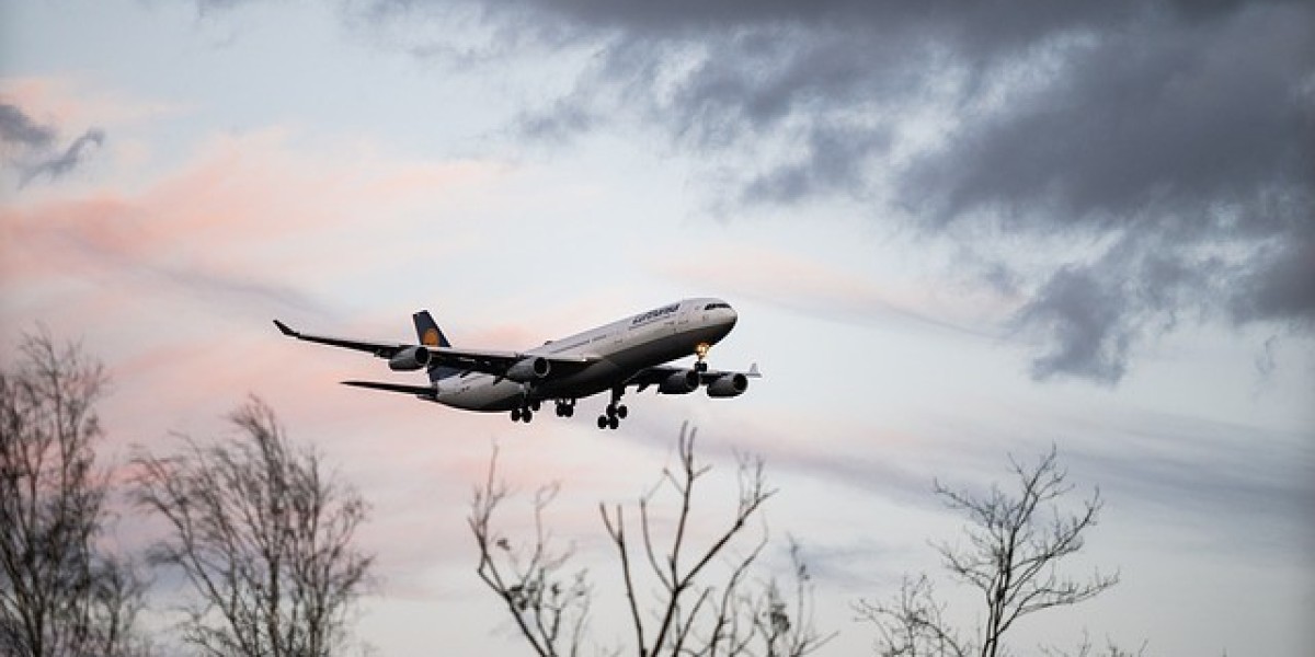 Which airline gives the highest student discount?