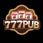 777pub ink