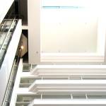 Management Consulting