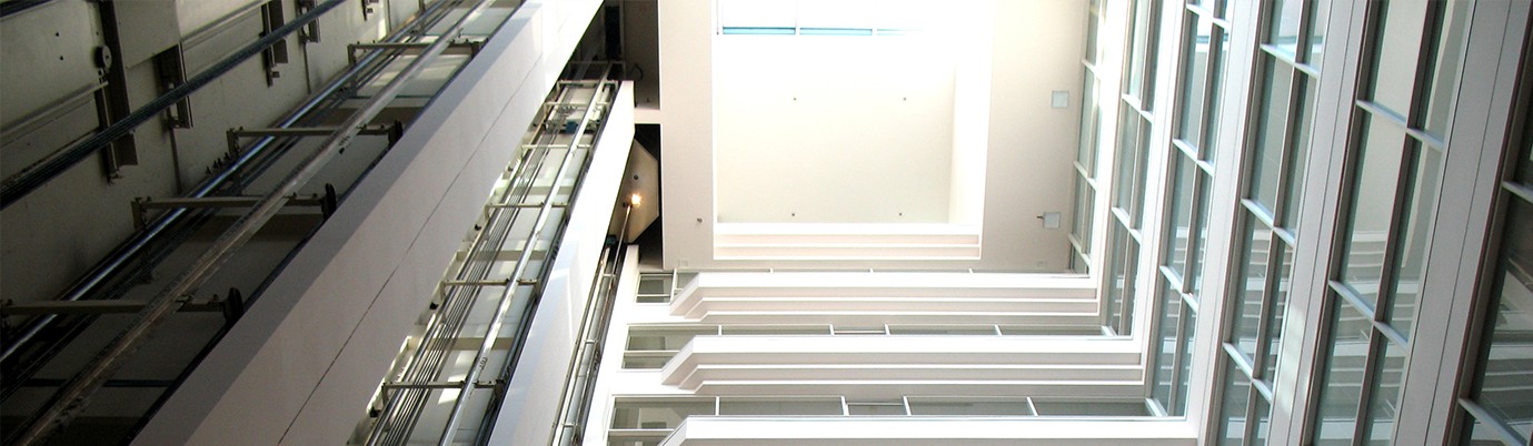 Management Consulting