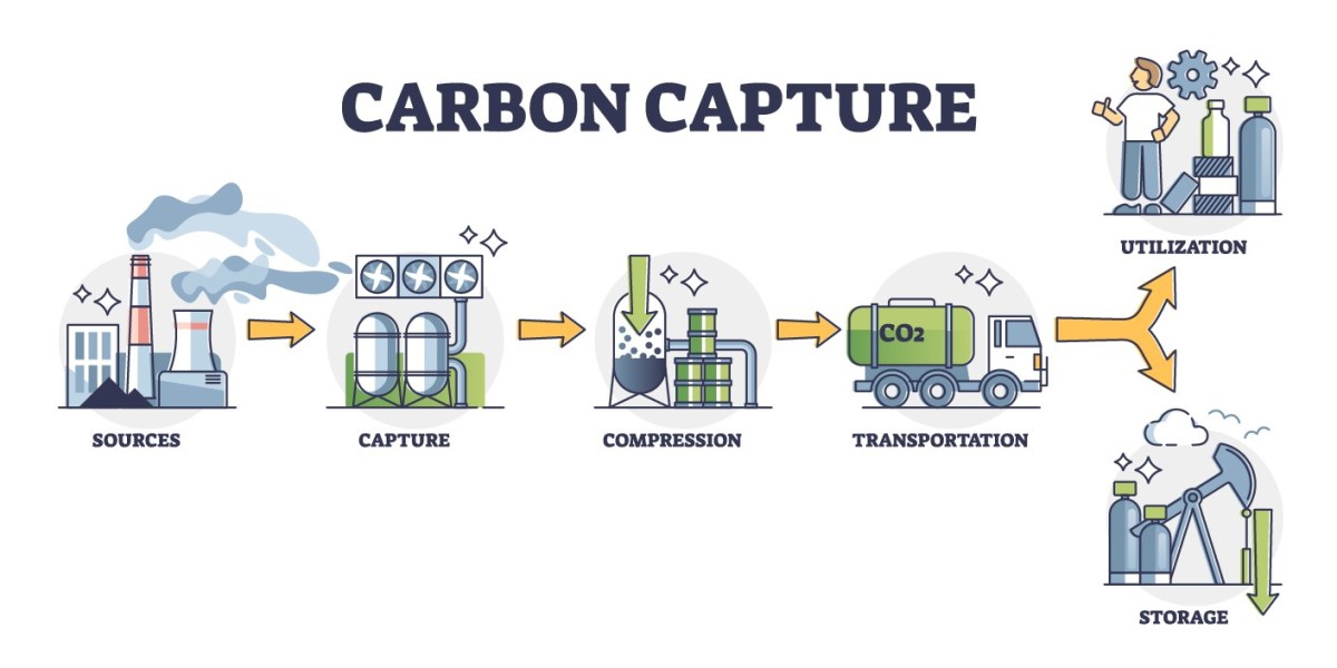 Carbon Capture and Utilization: Market Insights and Strategic Opportunities