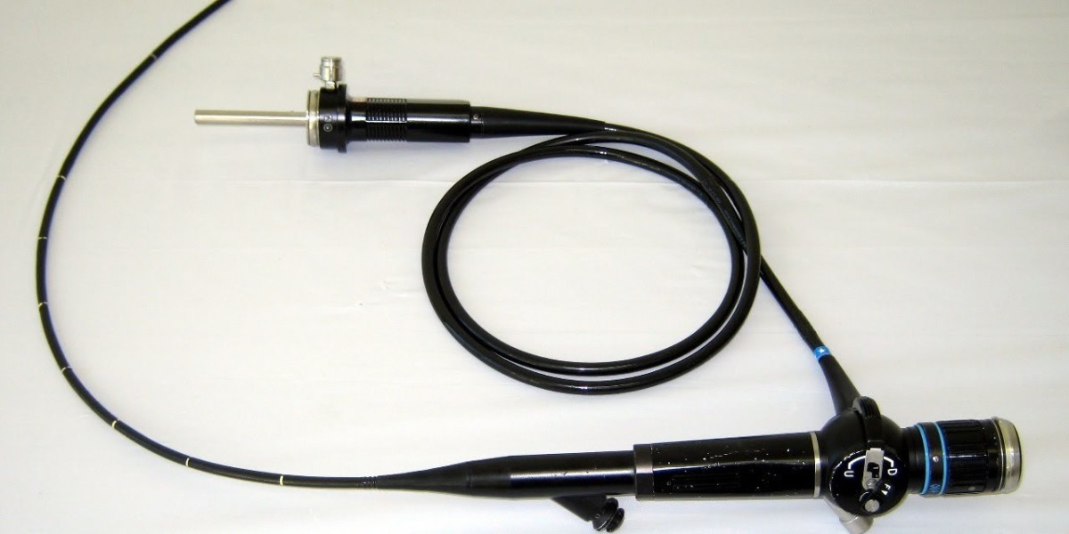 A Decade of Innovation: Ultrasound Endoscope Market Analysis (2021–2031)