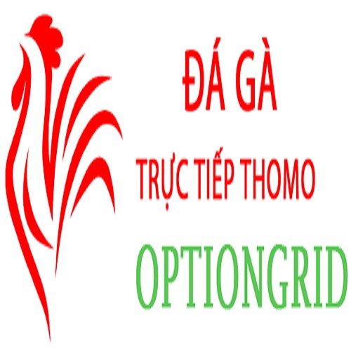 Đá Gà Trực Tiếp Thomo