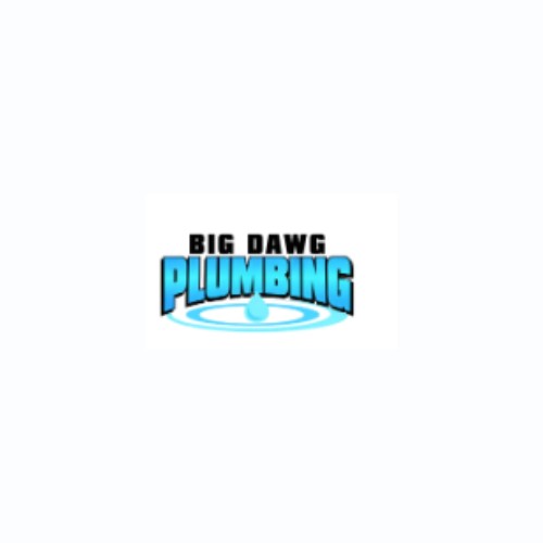 Big Dawg Plumbing