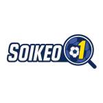Soi kèo nhà cá