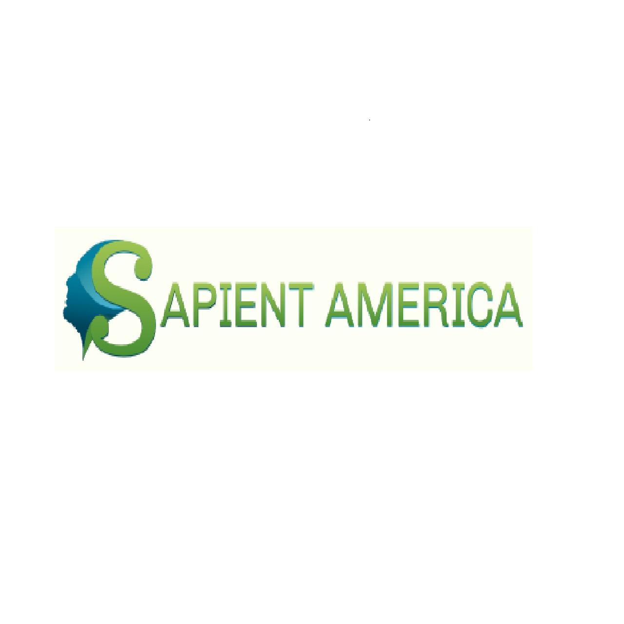Sapient America