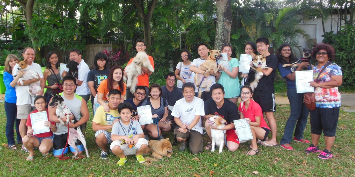 Mastering Canine Manners: The Ultimate Guide to Dog Training in Singapore