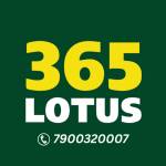 Lotus365