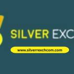 silver com