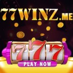 77winz me