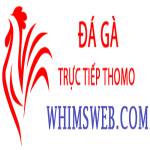 Đá Gà Trực Tiếp Thomo