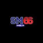 Sm66 co
