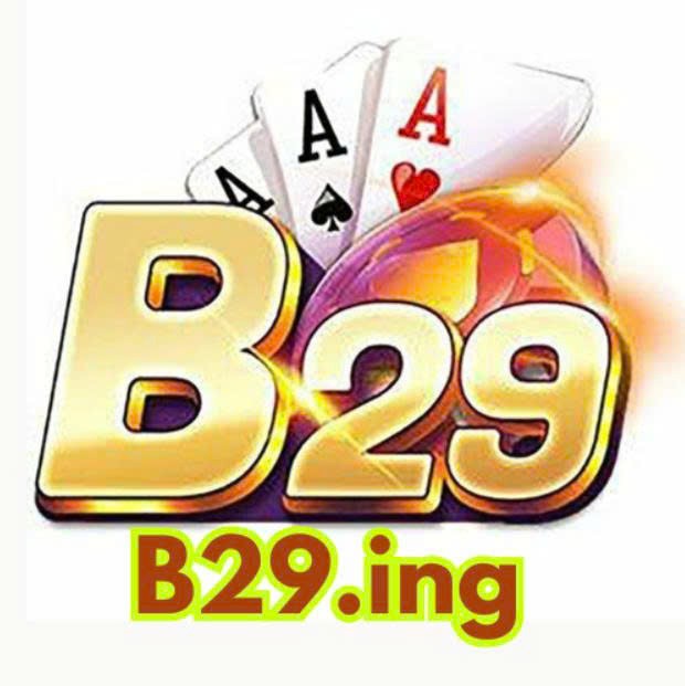 B 29