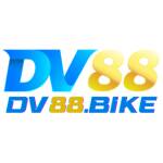 DV 88