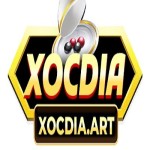 XOC DIA
