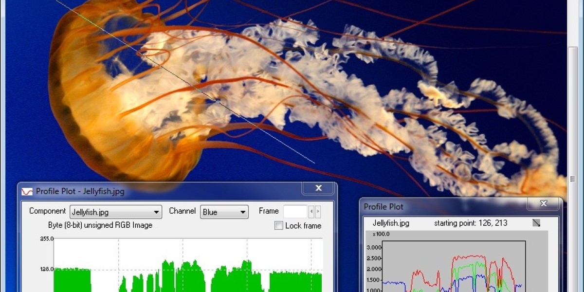 The Power of the Investigator Video Editor: Enhancing Truth with Technology