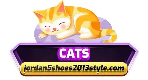 Jordan5 Shoes