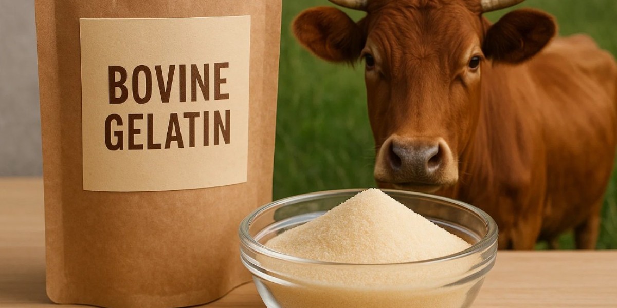 Bovine Gelatin Market Analysis for Nutraceutical and Beauty Supplements