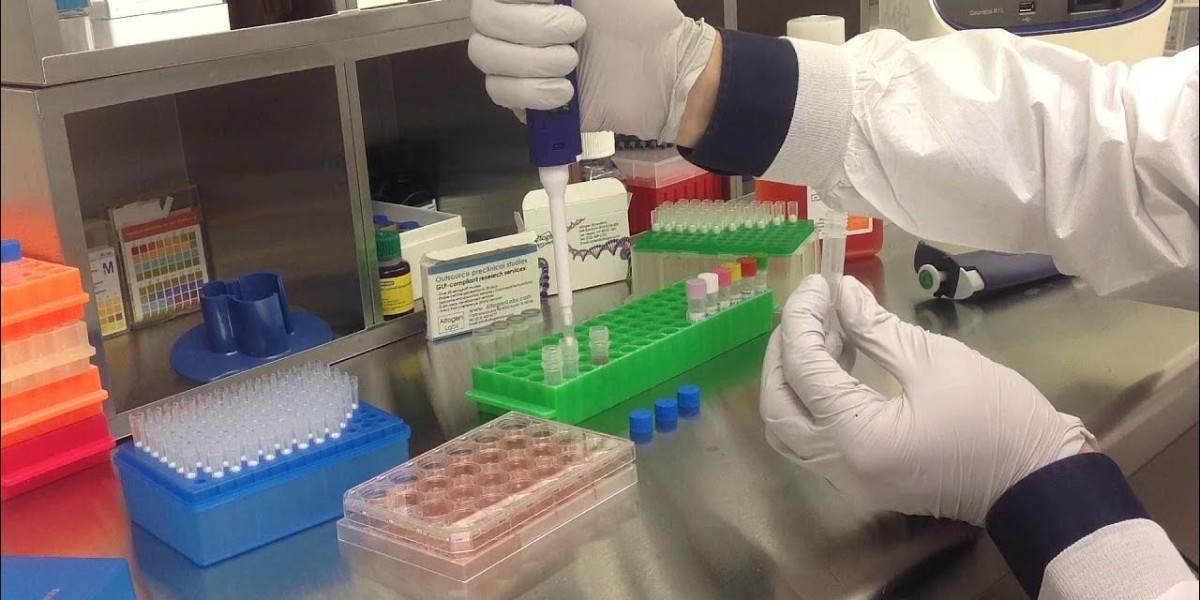 Non Viral Transfection Reagents Market: Size, Trends, and Growth Opportunities