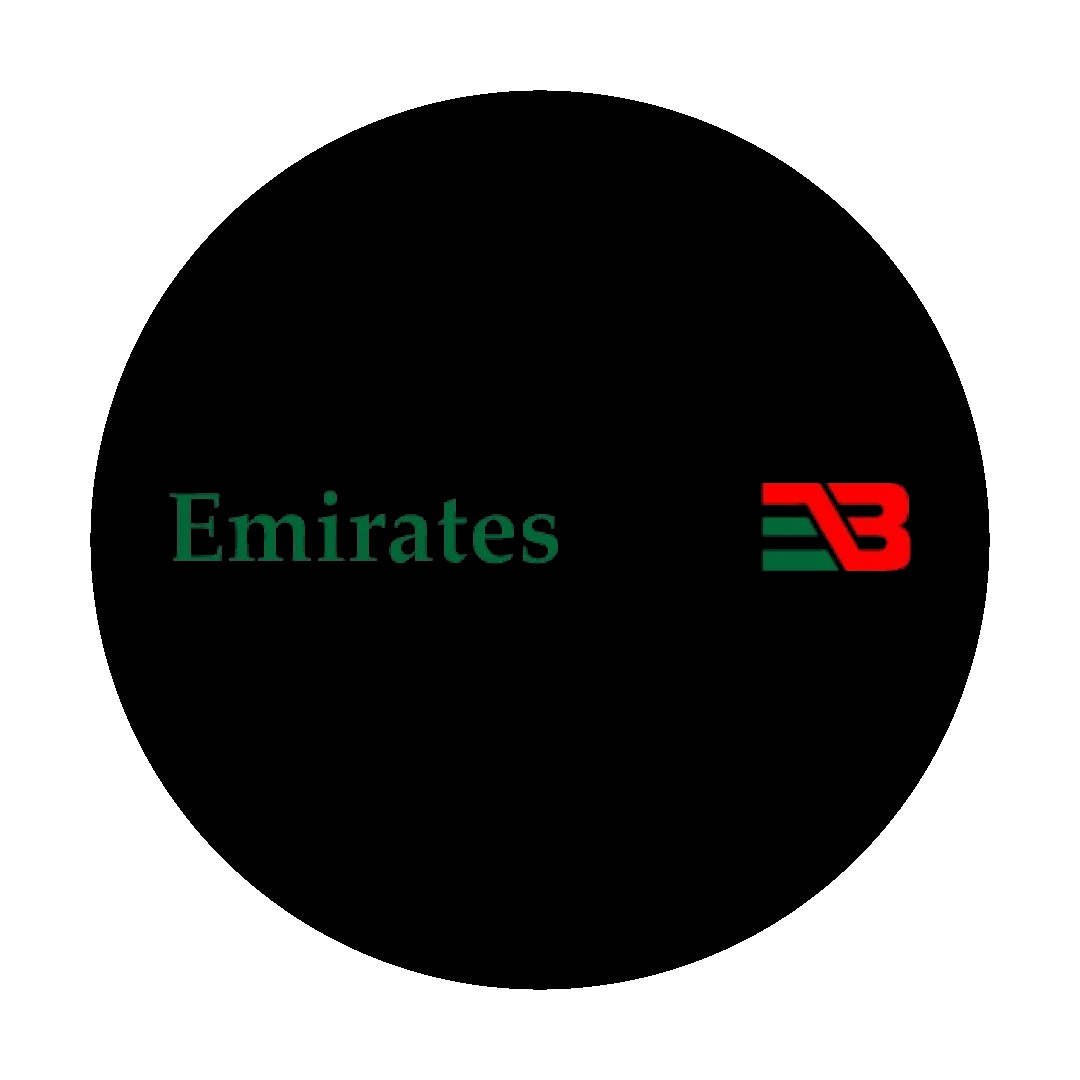 chauffeur serviceuae