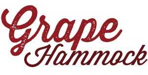Grape Hammock Airboat tours