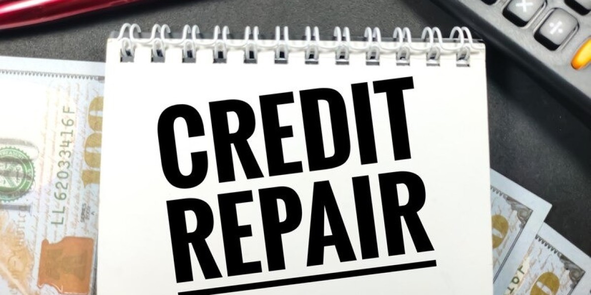Best Credit Report Repair Services – What to Look For and What to Avoid