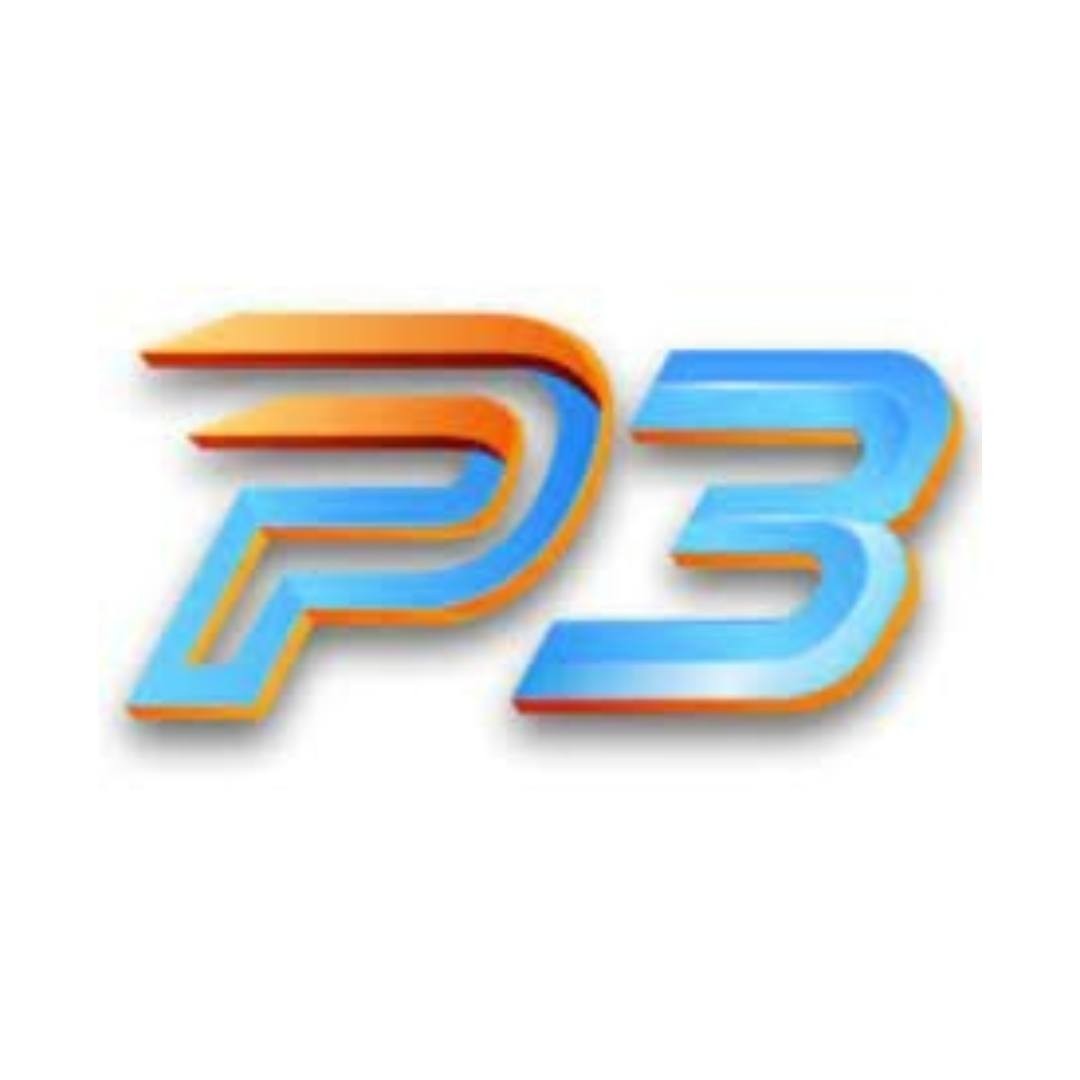 p3 Vin
