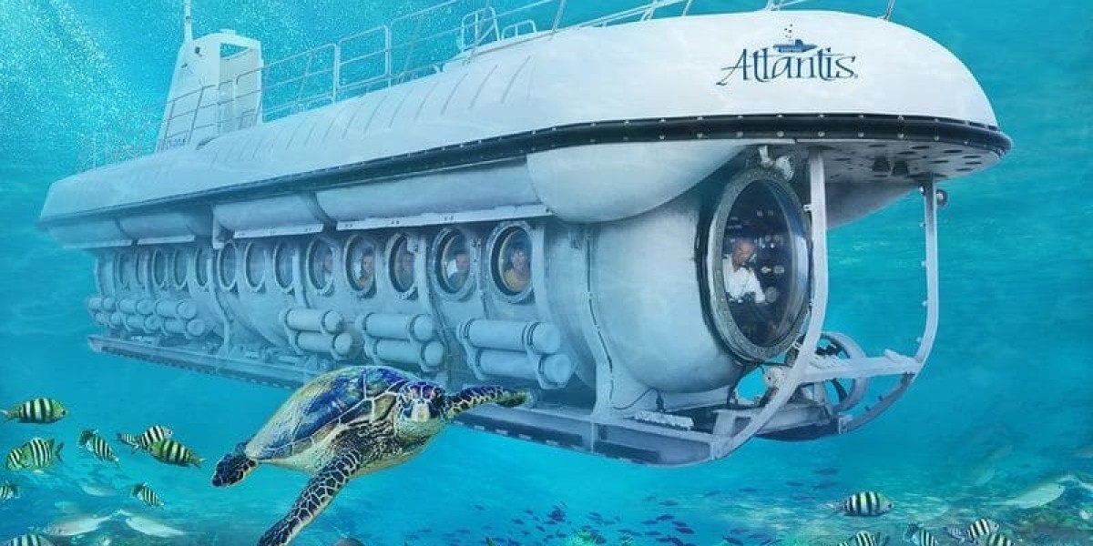 Scared of the Ocean? This Barbados Tour Might Just Change Your Mind
