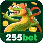 255BET Cassino com Benefícios VIP