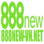 888new vn net