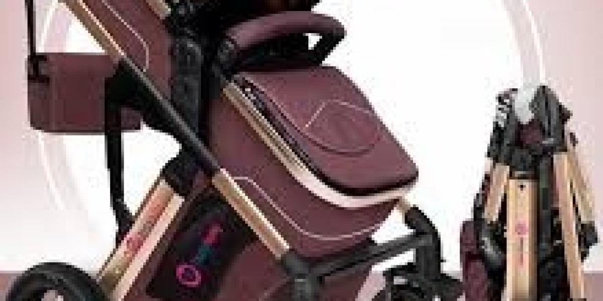 Baby Stroller and Prams Market trends highlighting adoption of innovative travel systems and modular stroller designs gl