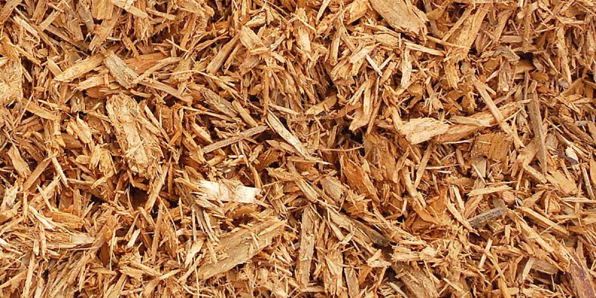 Sustainable Packaging Revolution: Wood Pulp Market Forecast and Opportunities