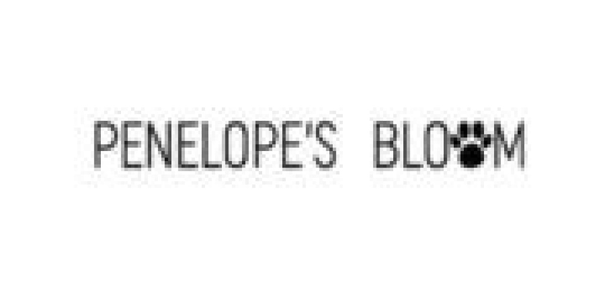 How to Save Money on Penelope’s Bloom (5 Simple Ways)